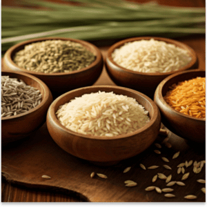 Lorem ipsum dolor sit amet, consectetur adipiscing elit